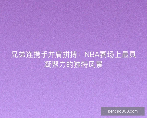 兄弟连携手并肩拼搏：NBA赛场上最具凝聚力的独特风景